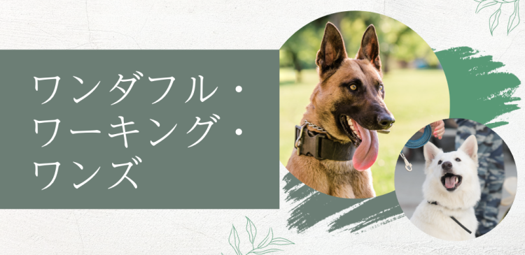 ワンダフル・ワーキング・ワンズ